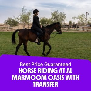 Desert safaris Horse Riding at Al Marmoom Oasis With Transfer Desert safaris Shop Online at Special Price from Dubai Offers