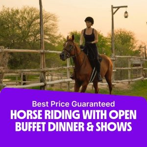 Desert safaris Horse Riding with Open Buffet Dinner & Shows Desert safaris Shop Online at Special Price from Dubai Offers
