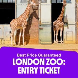 Recently Added Experiences London Zoo: Entry Ticket Recently Added Experiences Shop Online at Special Price from Dubai Offers