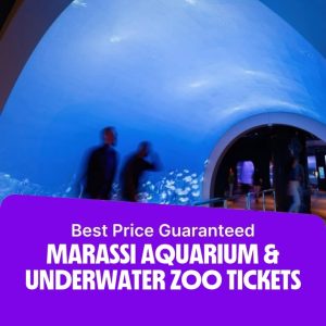 Top-Rated Attractions Marassi Aquarium & Underwater Zoo Tickets Top-Rated Attractions Shop Online at Special Price from Dubai Offers