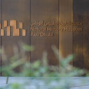 Museums Natural History Museum Abu Dhabi (anyone under 18 years go free) Museums Shop Online at Special Price from Dubai Offers