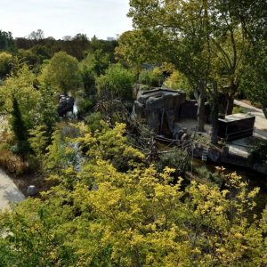 Experiences Paris Zoological Park: Entry Ticket Experiences Shop Online at Special Price from Dubai Offers