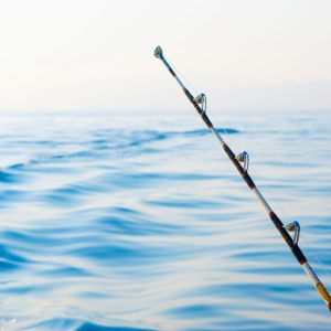 Sightseeing and Tours Private fishing boat tour Sightseeing and Tours Shop Online at Special Price from Dubai Offers