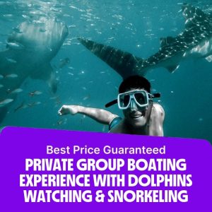 Sightseeing and Tours Private group Boating Experience with Dolphins Watching & Snorkeling Sightseeing and Tours Shop Online at Special Price from Dubai Offers