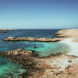 Sightseeing and Tours Private group tour of Daymaniyat Islands Sightseeing and Tours Shop Online at Special Price from Dubai Offers