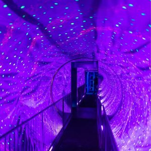 Recently Added Experiences Ripley's Believe It or Not! Amsterdam: Entry Ticket Recently Added Experiences Shop Online at Special Price from Dubai Offers