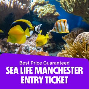 Top-Rated Attractions SEA LIFE Manchester Entry Ticket Top-Rated Attractions Shop Online at Special Price from Dubai Offers 2