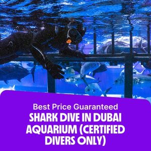Recently Added Experiences Shark Dive in Dubai Aquarium (Certified Divers Only) Recently Added Experiences Shop Online at Special Price from Dubai Offers