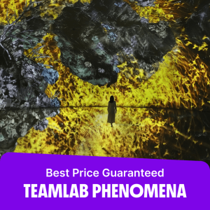 Museums TeamLab Phenomena Abu Dhabi Museums Shop Online at Special Price from Dubai Offers