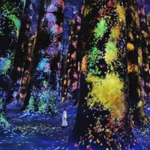 Recently Added Experiences TeamLab Phenomena + Qasr Al Watan – Combo Recently Added Experiences Shop Online at Special Price from Dubai Offers