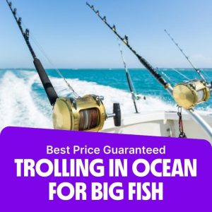 Top-Rated Attractions Trolling in Ocean for Big Fish Top-Rated Attractions Shop Online at Special Price from Dubai Offers