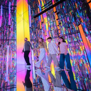 Indoor Attractions aya Indoor Attractions Shop Online at Special Price from Dubai Offers