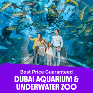 Experiences dubai aquarium Experiences Shop Online at Special Price from Dubai Offers
